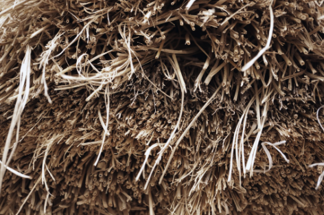 Hay