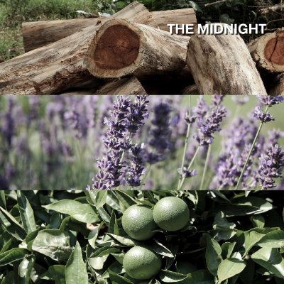 The Midnight