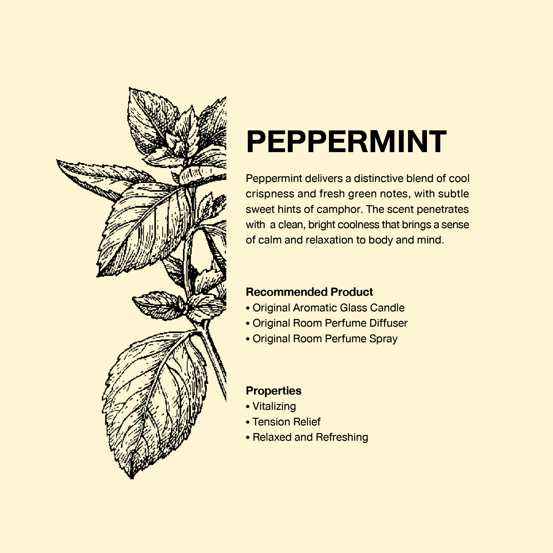 02-SCENTS OF HARMONIZING THERAPY -03