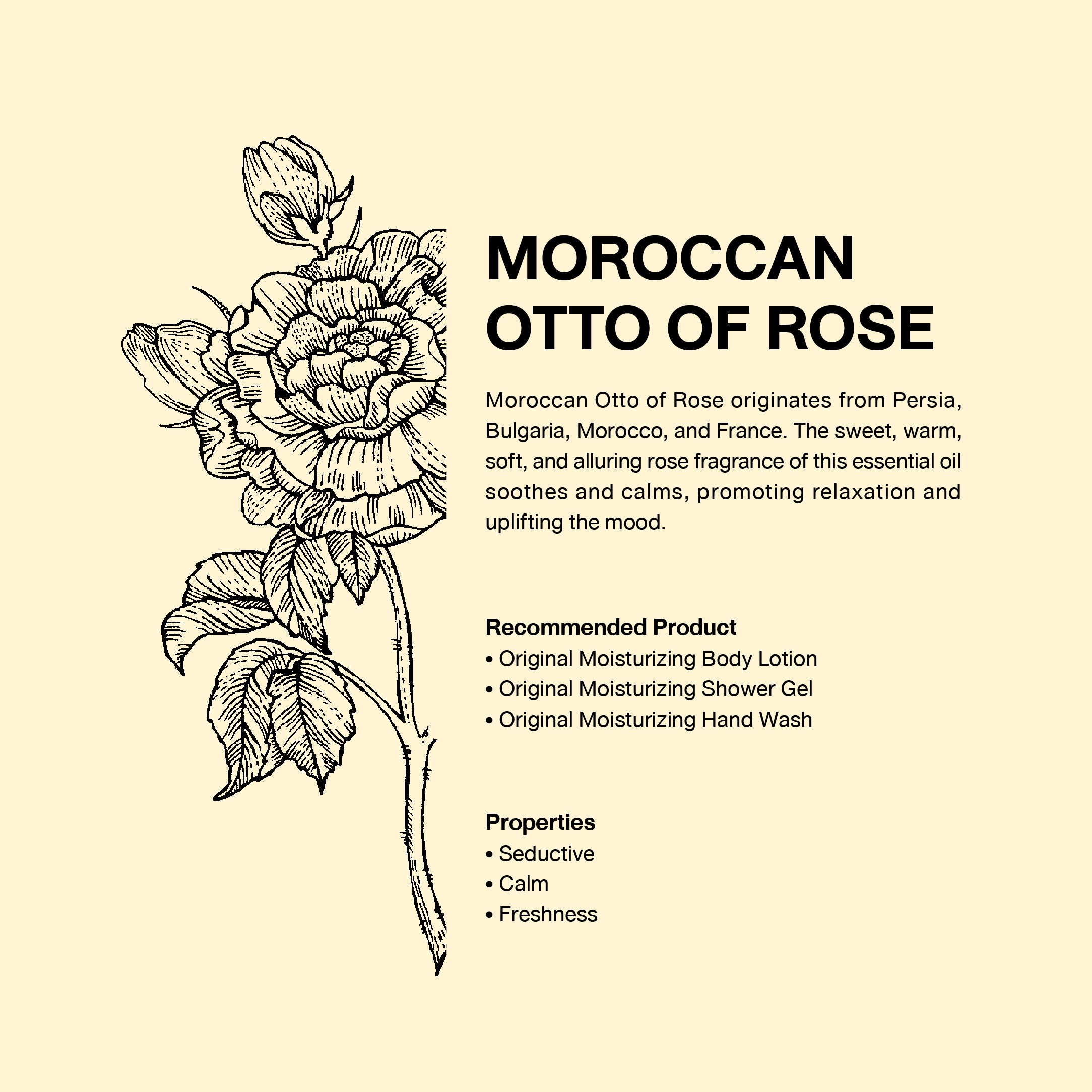 02-SCENTS OF HARMONIZING THERAPY -05