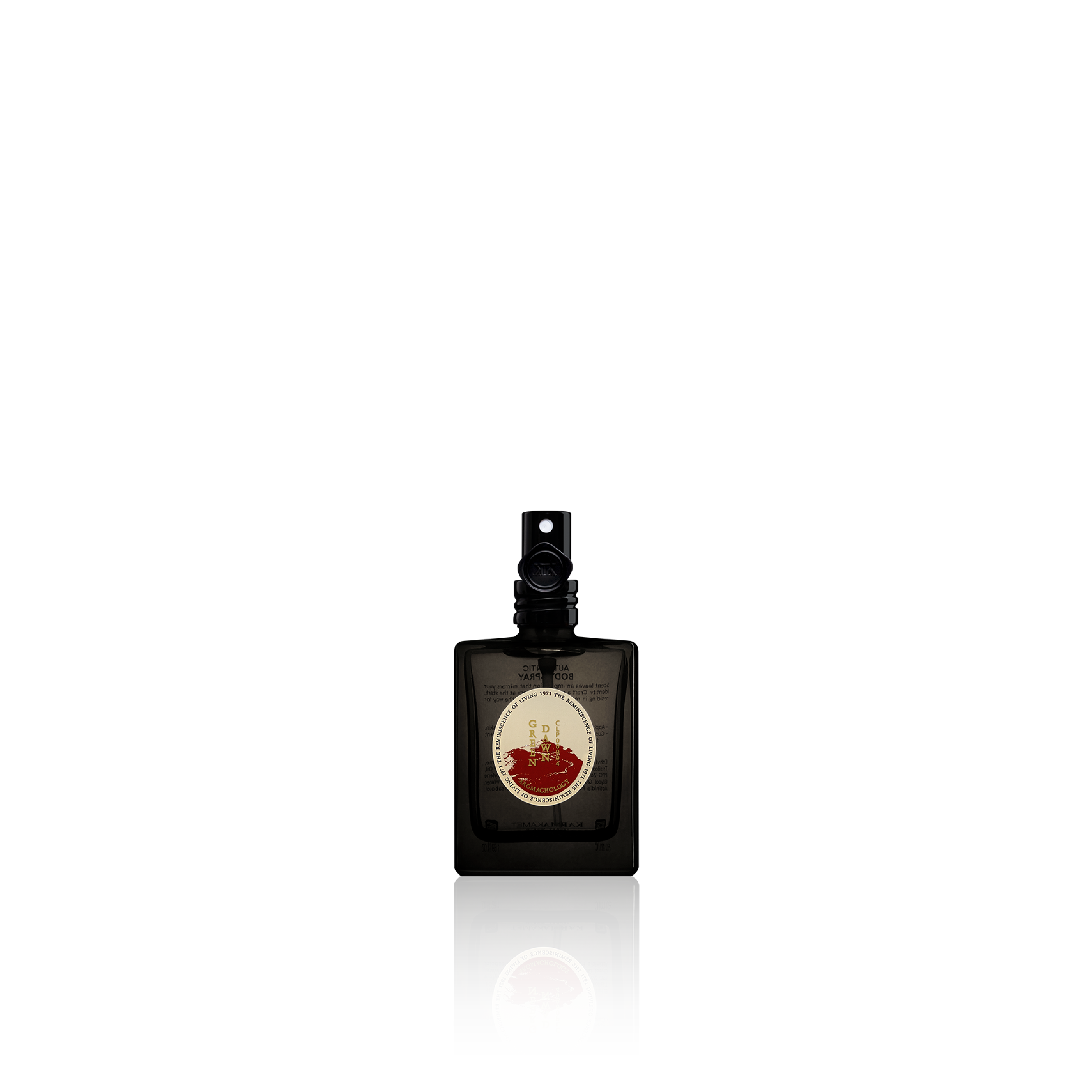 Authentic Body Spray 50 ml / Blended