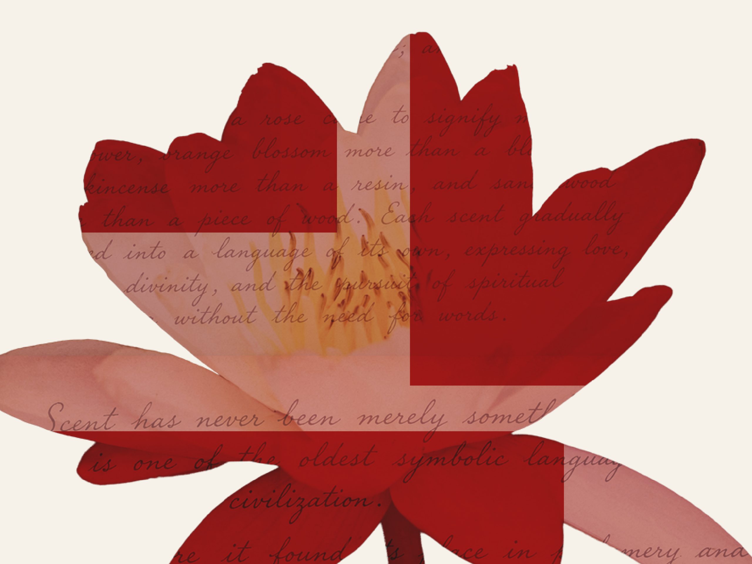 THE LANGUAGE OF SCENT